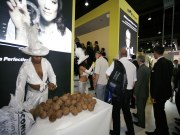 Dance Show Infos & Variationen